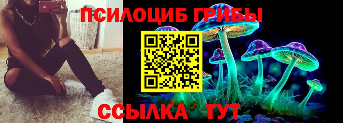 Ленинск-Кузнецкий  Галлюциногенные грибы Magic Shrooms  Вход с VPN  Псилоцибиновые грибы MAGIC MUSHROOMS 